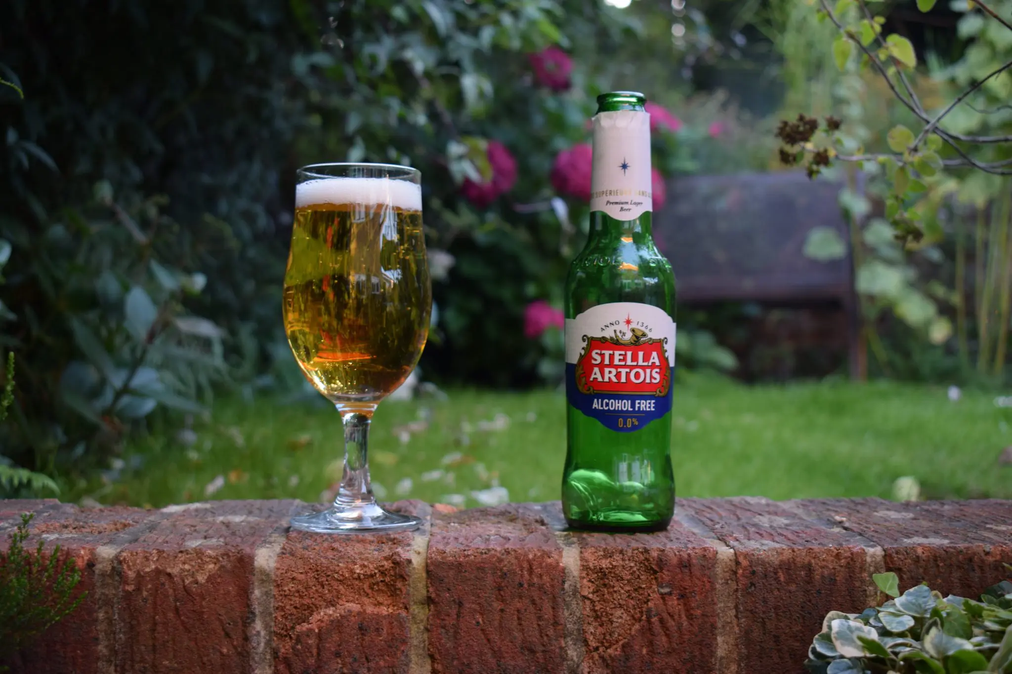 Stella Artois Alcohol Free Review - Non-alcoholic 0 Lager